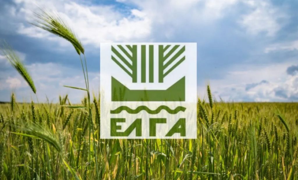 ΕΛΓΑ: Σήμερα οι αποζημιώσεις 24 εκατ. σε δικαιούχους παραγωγούς για απώλειες ζωικού κεφαλαίου
