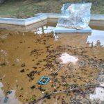 Φάρσαλα: Εικόνες εγκατάλειψης στις πηγές του Απιδανού – Σε παρακμή ένας χώρος με ιστορία και συμβολισμό