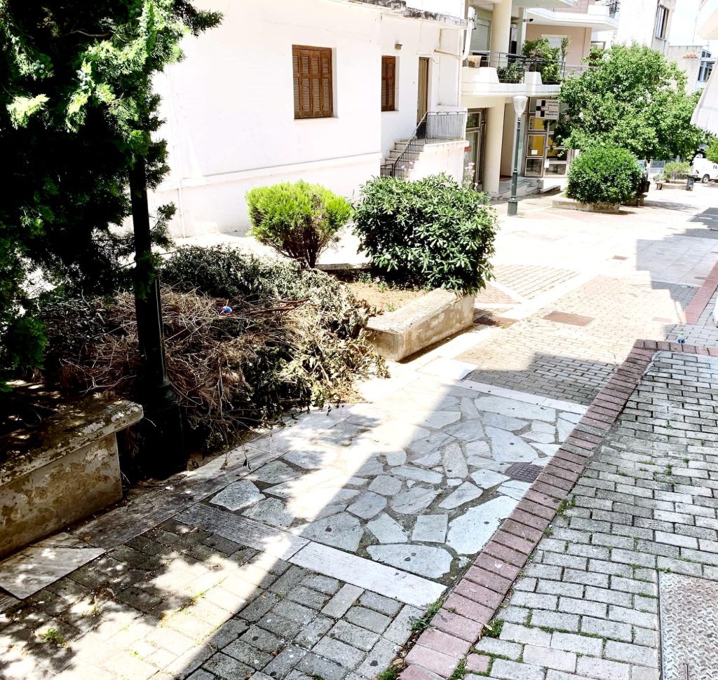 ΦΑΡΣΑΛΑ: Ανάμεσα στα παρτέρια ή… κάτω από το χαλί;