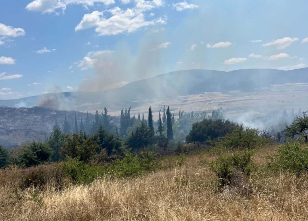 Εσκίογλου για τη φωτιά στα Φάρσαλα: «Ο κίνδυνος πέρασε, αλλά δεν υπάρχει περιθώριο εφησυχασμού»