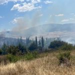 Εσκίογλου για τη φωτιά στα Φάρσαλα: «Ο κίνδυνος πέρασε, αλλά δεν υπάρχει περιθώριο εφησυχασμού»
