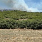 Μάχη με τις φλόγες στα Φάρσαλα – Εσκίογλου: «Όλος ο μηχανισμός του Δήμου στην πρώτη γραμμή»