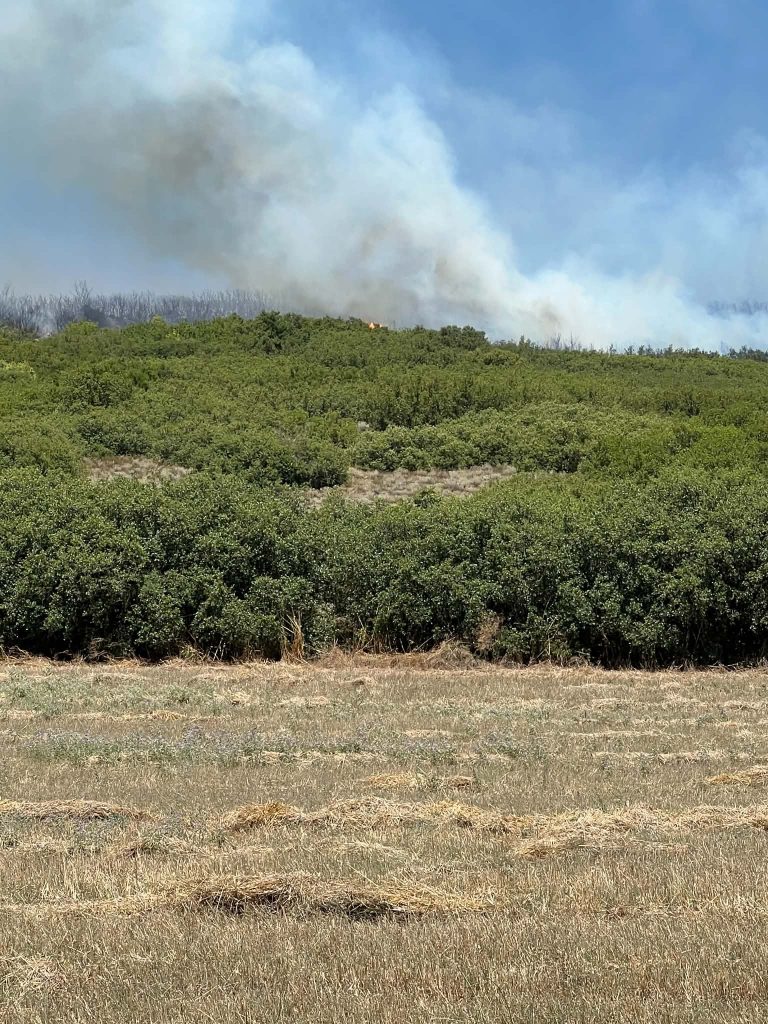 Μάχη με τις φλόγες στα Φάρσαλα – Εσκίογλου: «Όλος ο μηχανισμός του Δήμου στην πρώτη γραμμή»