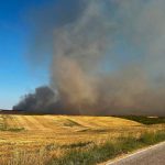 Φωτιά στην Κρήνη Φαρσάλων – Ισχυρές δυνάμεις στη μάχη με τις φλόγες, μήνυμα 112 στους κατοίκους