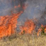 Φάρσαλα: Πρόστιμο άνω των 1.600 ευρώ για πυρκαγιά σε αύλειο χώρο
