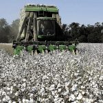 Φάρσαλα: Βαμβακοσυλλεκτική προσέκρουσε σε κολώνα ρεύματος-Φωτιά σε συγκομισμένο βαμβάκι