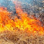 Οριοθετήθηκε η φωτιά στα όρια Φαρσάλων – Κιλελέρ